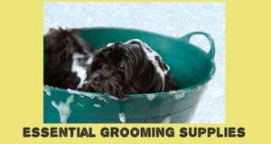 Essential-Grooming-Supplies