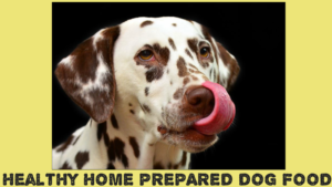 Healthy-Home-Prepared-Dog-Food